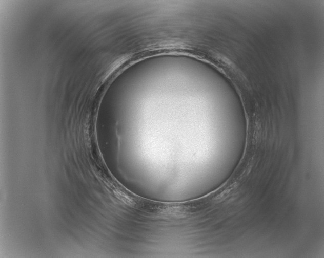 X0000052561162200507152218
