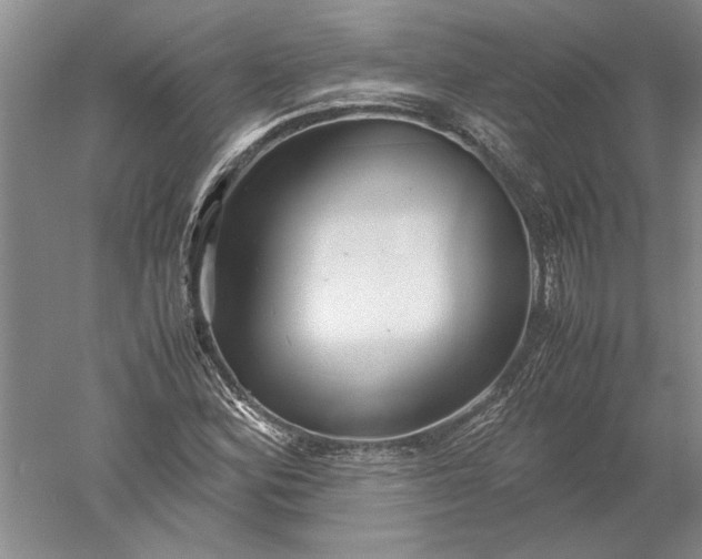 X0000052561164200507152218