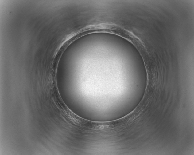 X0000052561166200507152218