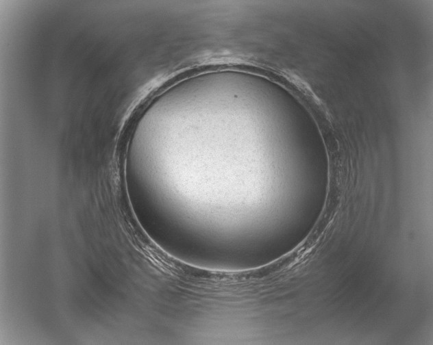 X0000052561167200507152218