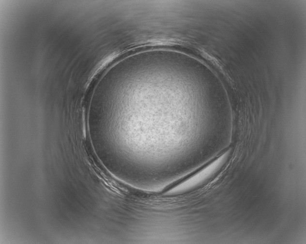 X0000052561171200507152218