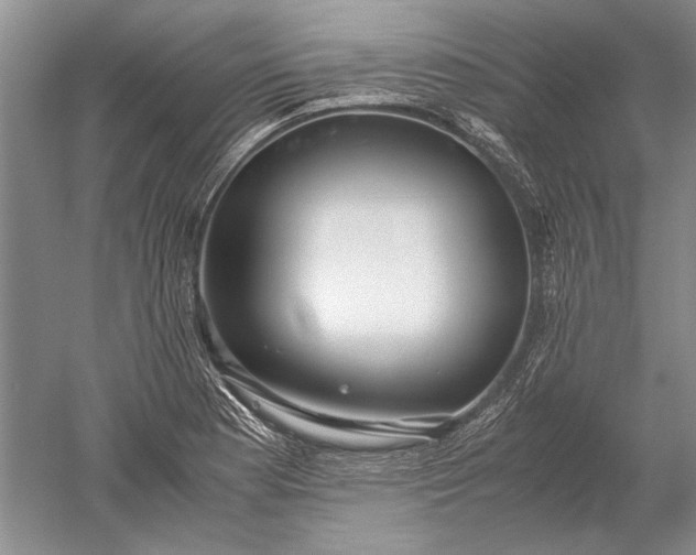 X0000052561177200507152218