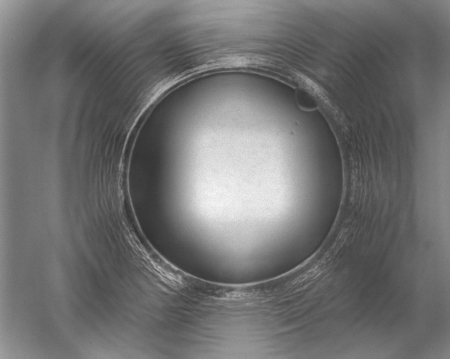 X0000052561178200507152218