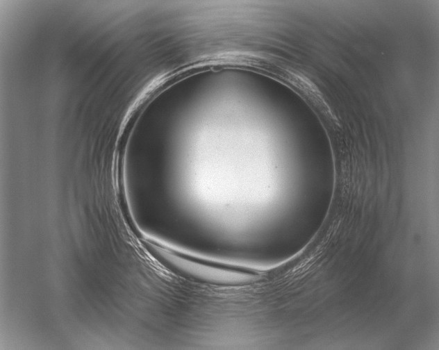 X0000052561180200507152218