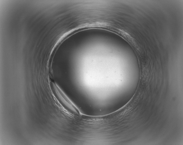 X0000052561184200507152218