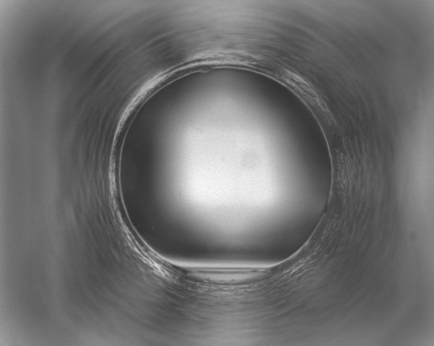 X0000052561188200507152218