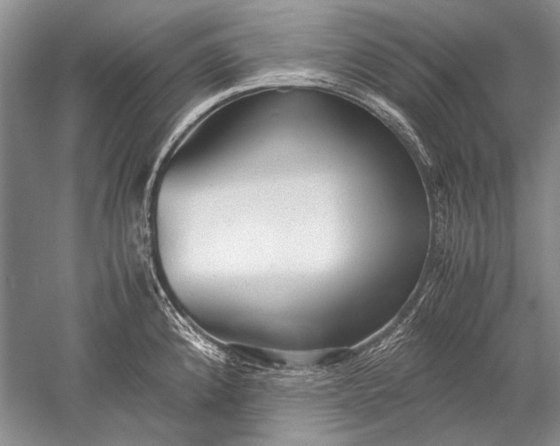 X0000052561192200507152218