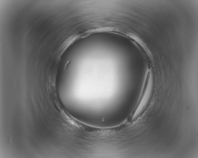 X0000052561193200507152218