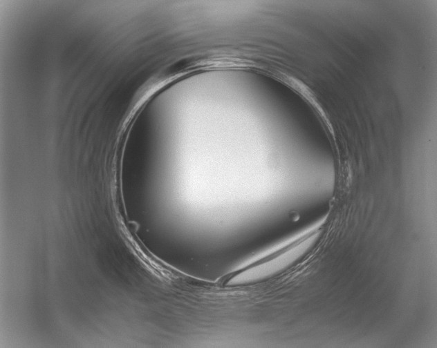 X0000052561195200507152218