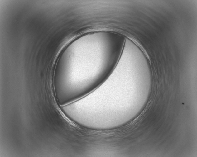 X0000052561197200507152218