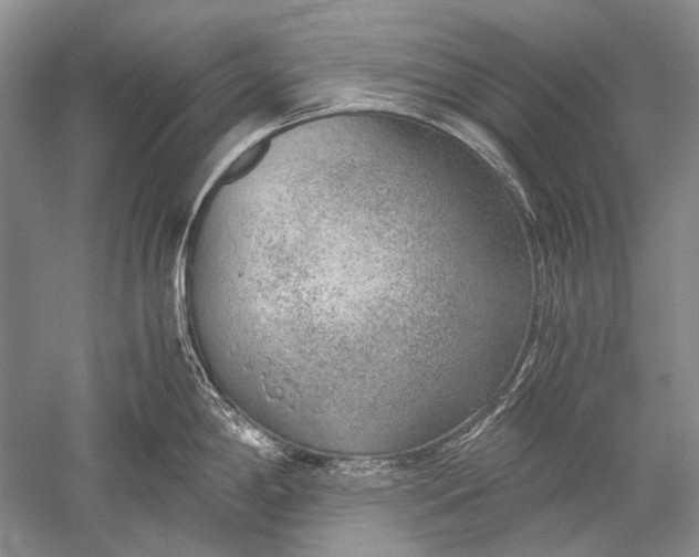 X0000052561198200507152218
