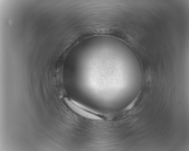 X0000052561202200507152217