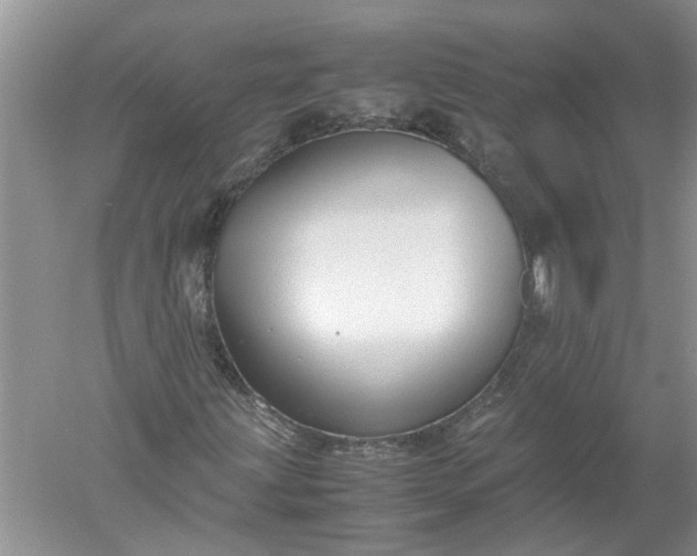 X0000052561203200507152217