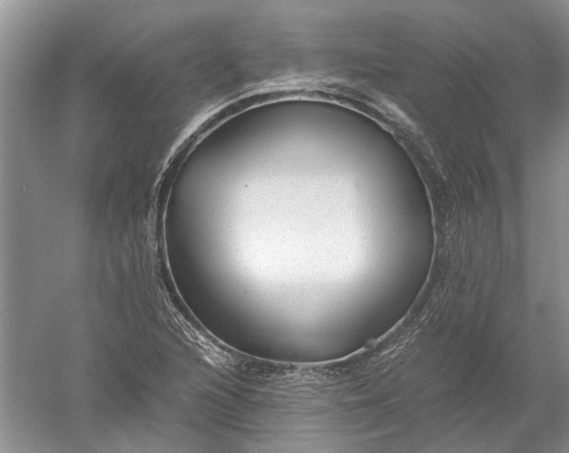 X0000052561216200507152217