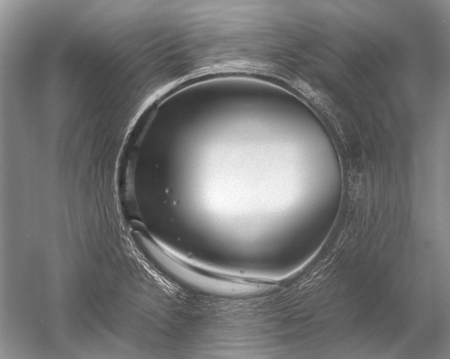 X0000052561230200507152217