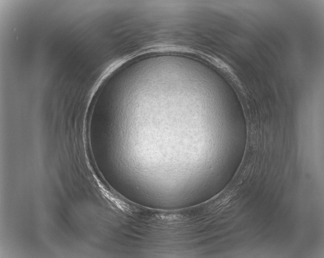 X0000052561231200507152217