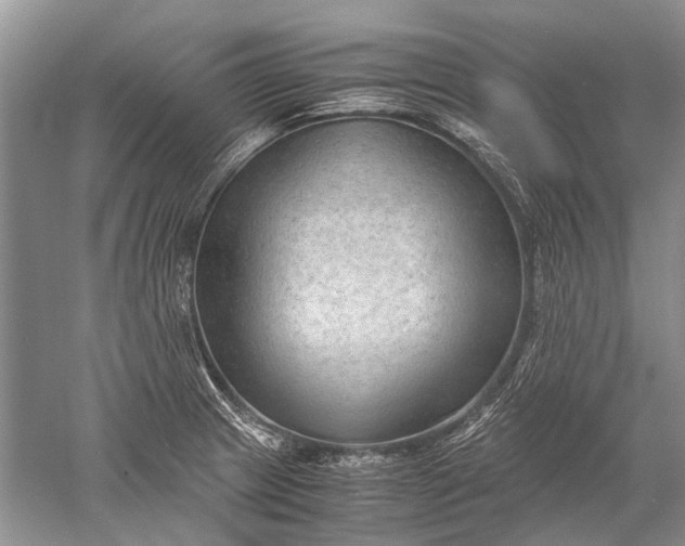 X0000052561233200507152217
