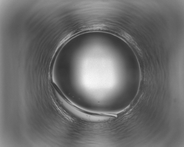 X0000052561234200507152217