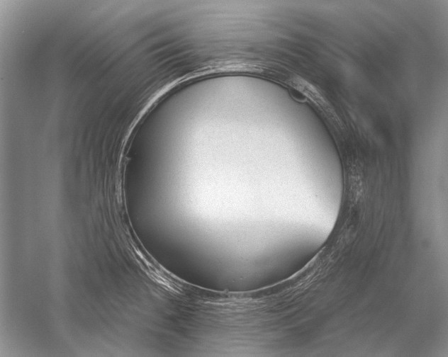 X0000052561236200507152217