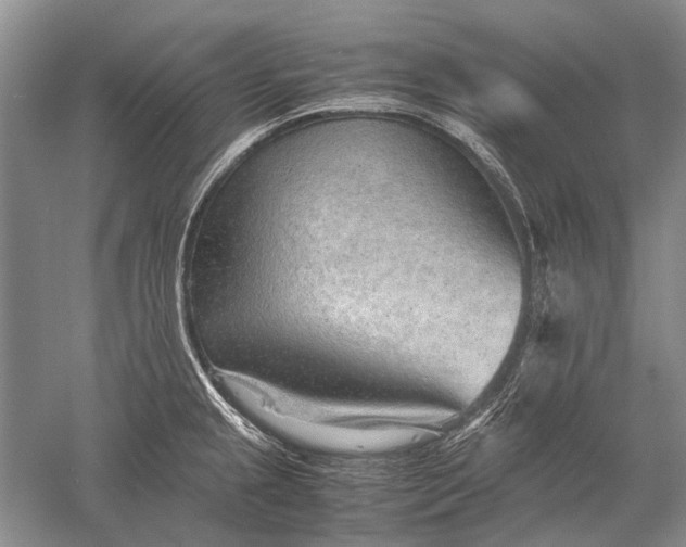 X0000052561237200507152217