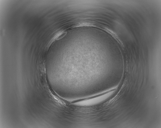 X0000052561241200507152217