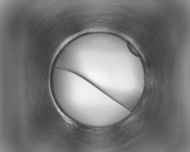 X0000052561245200507152218
