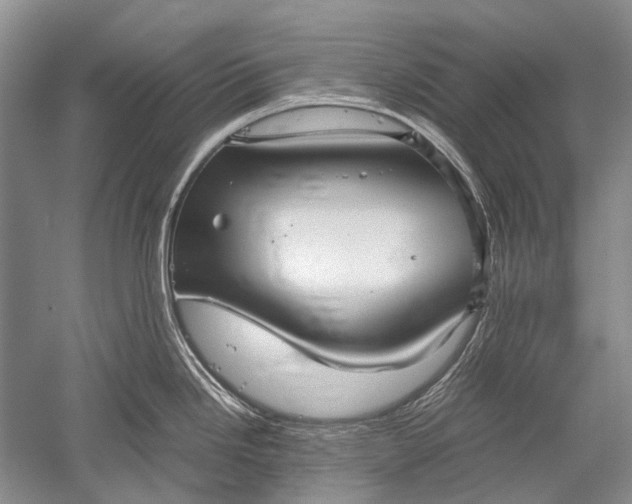 X0000052561246200507152218
