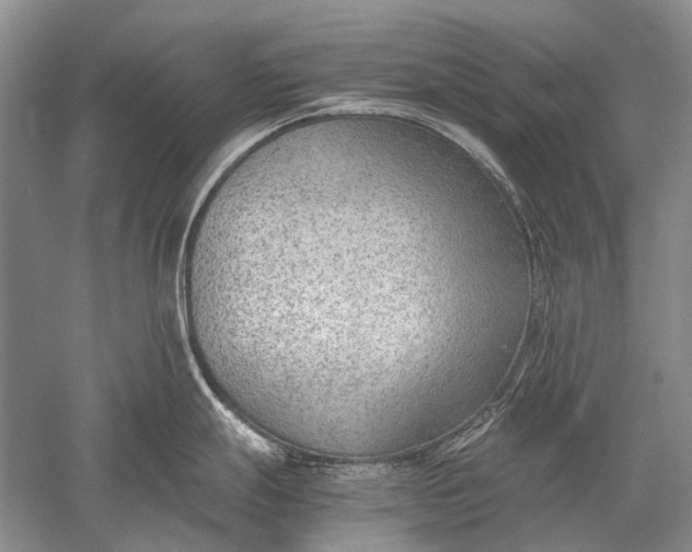 X0000052561247200507152218
