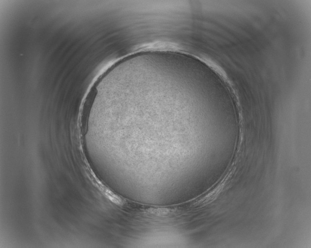 X0000052561248200507152218