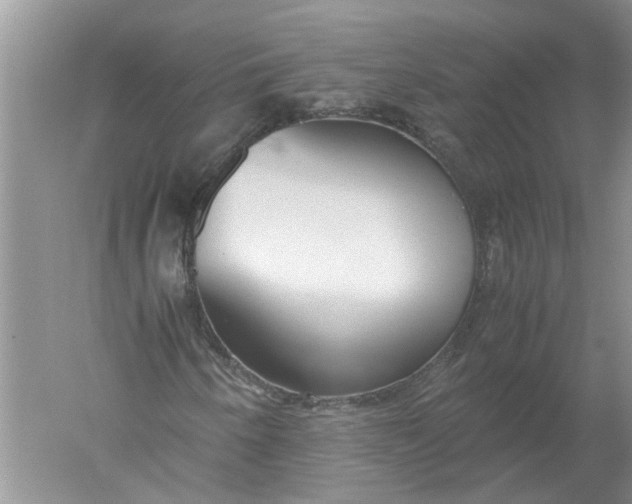 X0000052561250200507152217