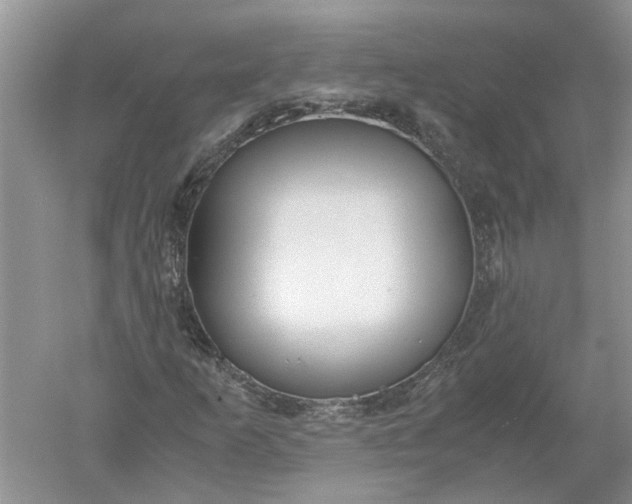 X0000052561253200507152217