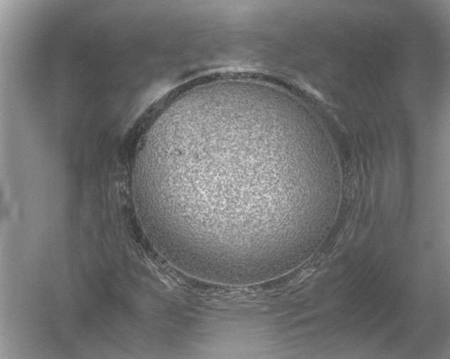 X0000052561255200507152217