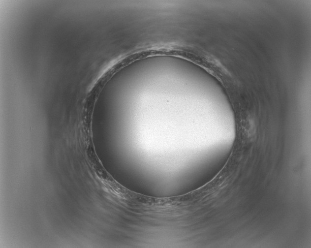 X0000052561256200507152217