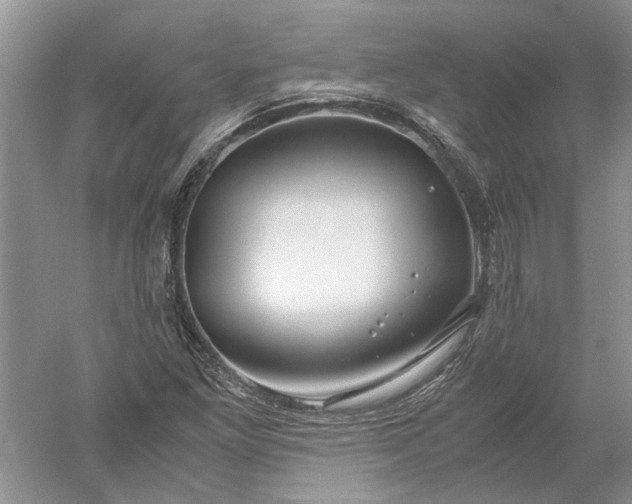 X0000052561261200507152217