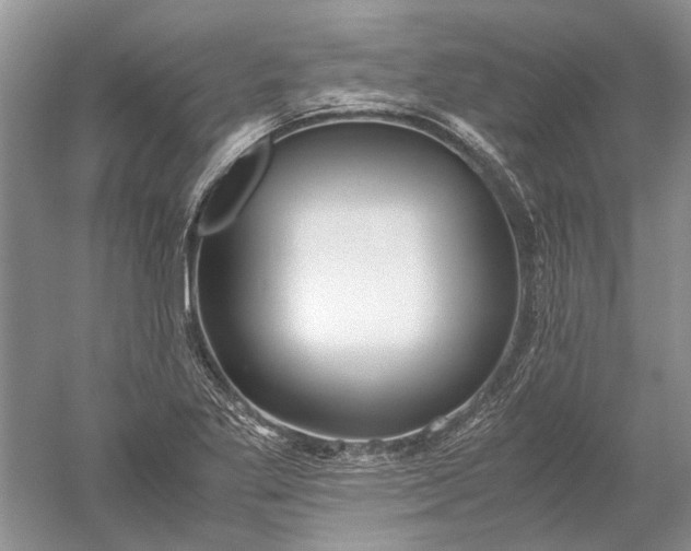X0000052561269200507152216