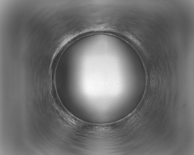 X0000052561270200507152216