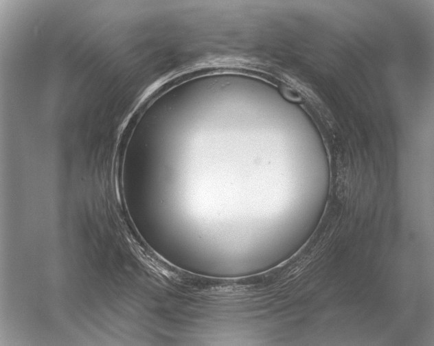 X0000052561272200507152216