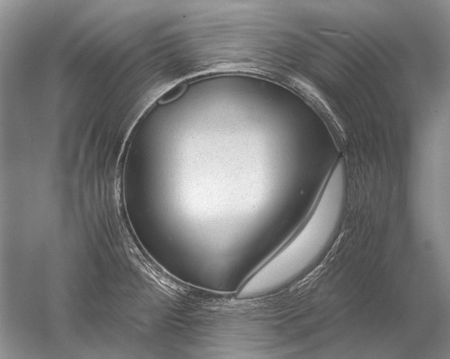 X0000052561284200507152216