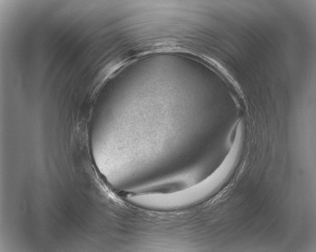 X0000052561289200507152216