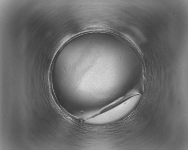 X0000052561291200507152216
