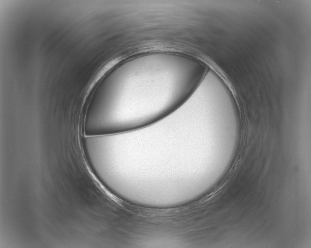 X0000052561293200507152216