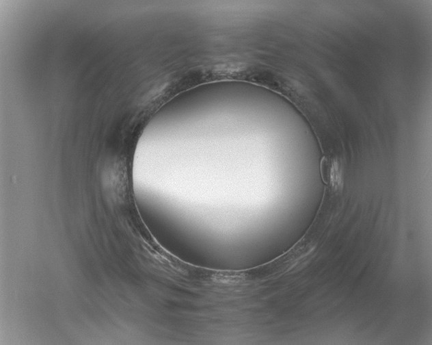 X0000052561299200507152215