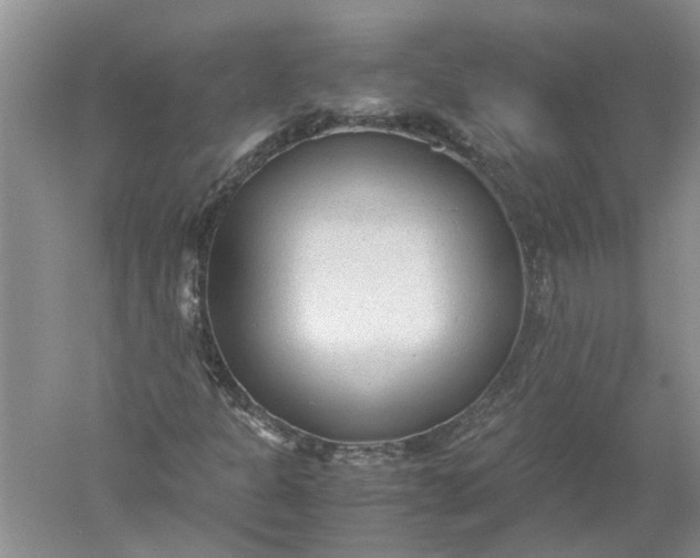 X0000052561301200507152215