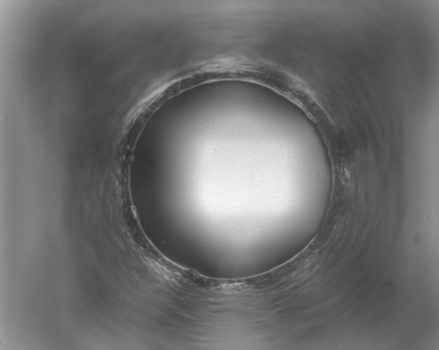 X0000052561304200507152215