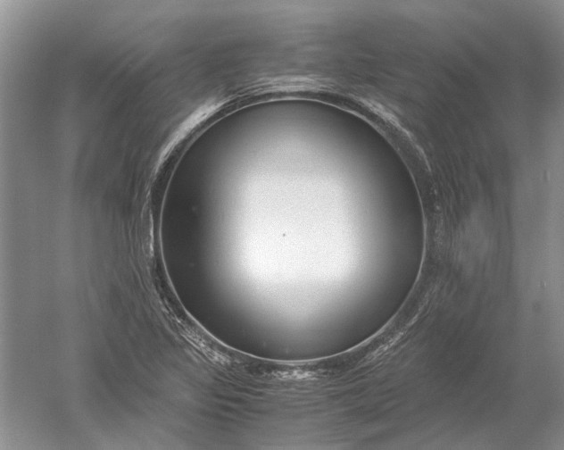 X0000052561317200507152215