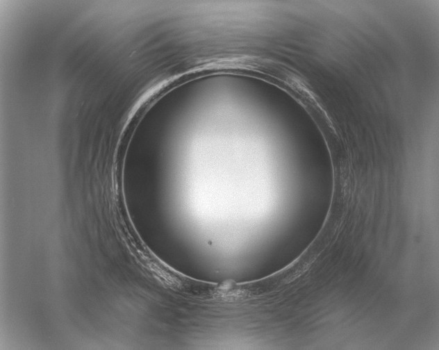 X0000052561328200507152216