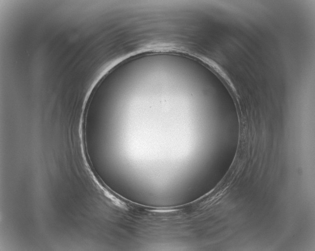 X0000052561343200507152216