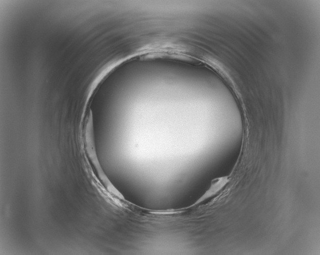 X0000052561344200507152216