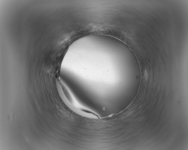 X0000052561348200507152215