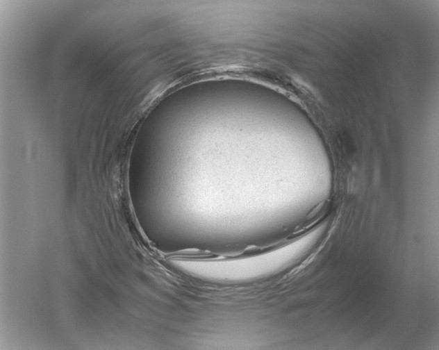 X0000052561353200507152215